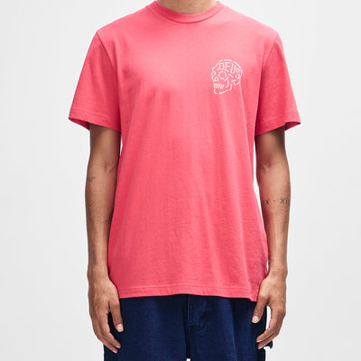 D261MTS128-VeniceSkullTee-Melon|Model