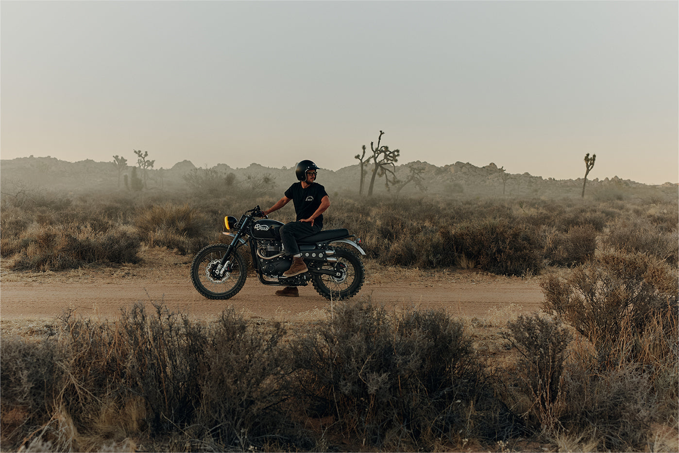 Deus Ex Machina x Alpha Industries - Season Two. – Deus Ex Machina USA