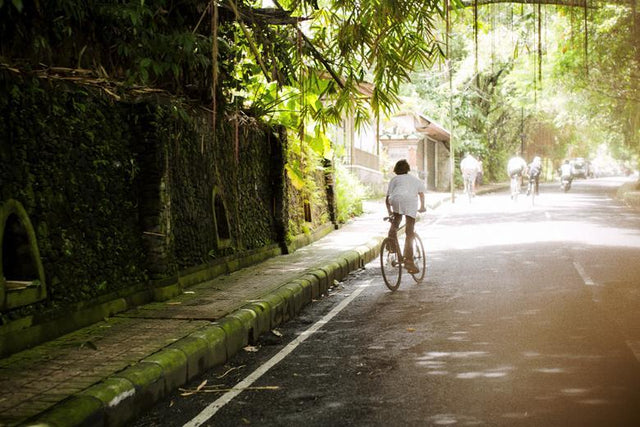 Riding the Mountain with the Bicycle Boys