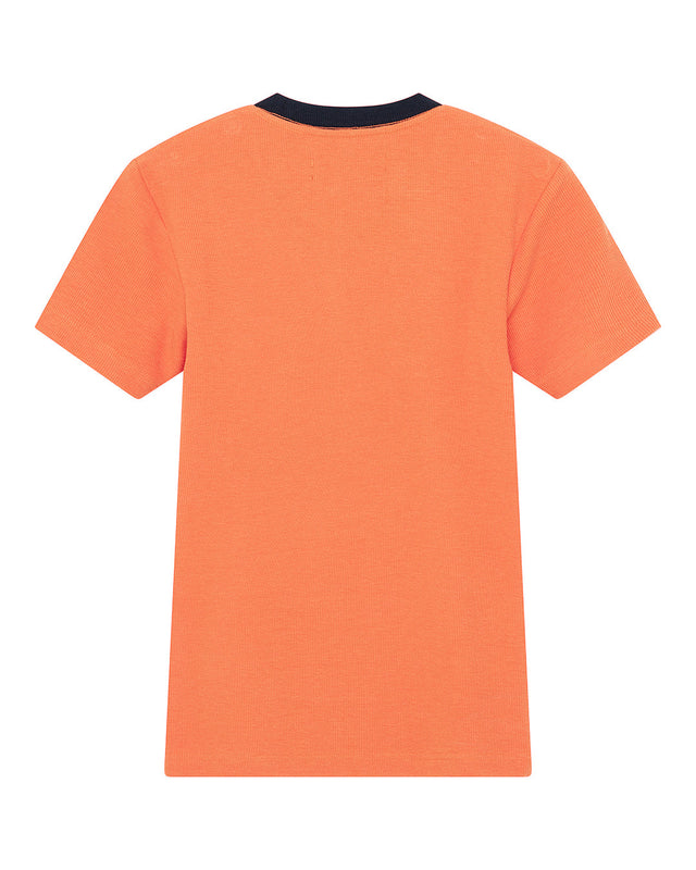 D261WTS805-HeLeNeTee