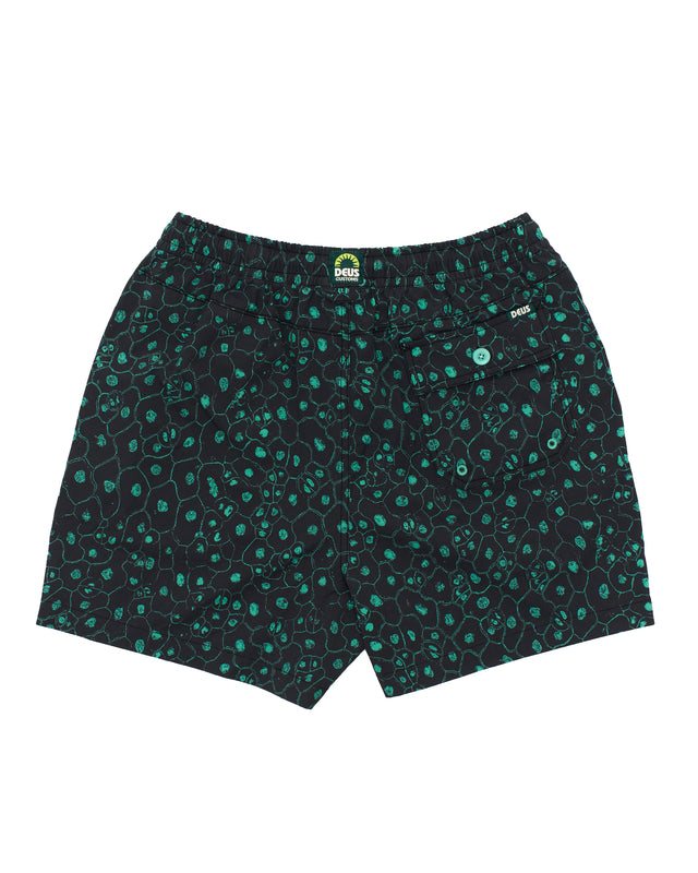 Plant Cell Boardshort (Mesh) - Biscay Green