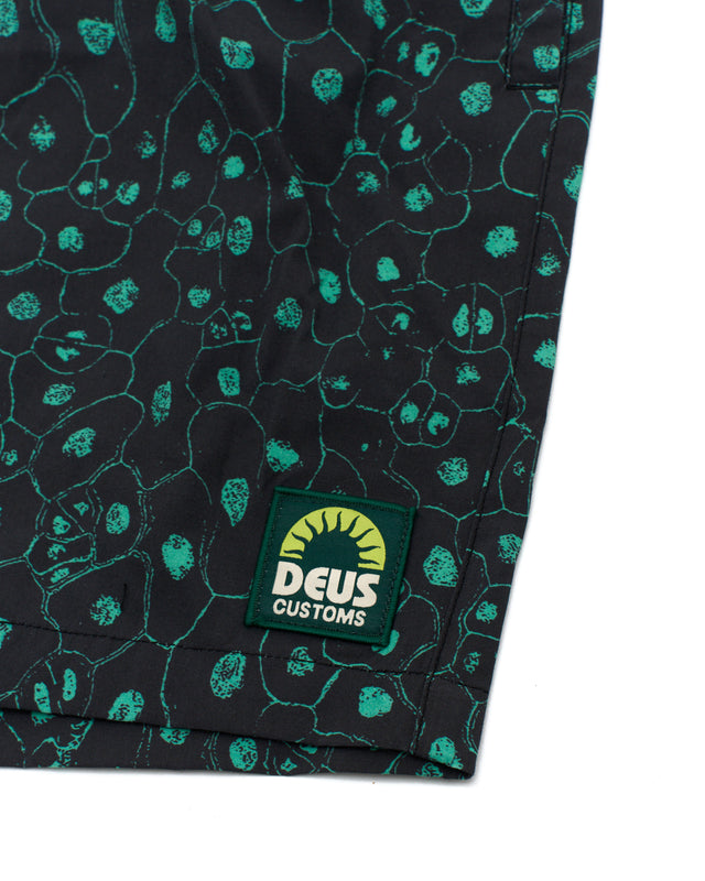 Plant Cell Boardshort (Mesh) - Biscay Green