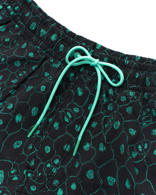 Plant Cell Boardshort (Mesh) - Biscay Green